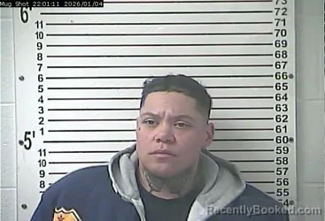 Mugshot of MEGAN RENEE PURVIS