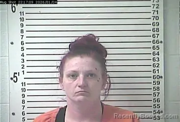 Mugshot of MEGAN JEAN SOUTHWICK