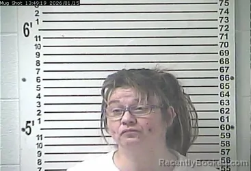 Mugshot of NICOLE RENEA SCHMID