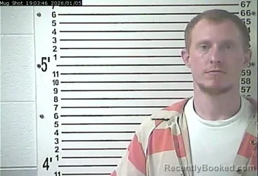 Mugshot of RYAN LEE NEWTON