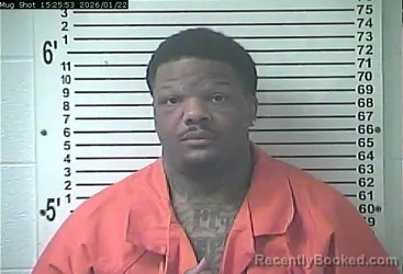 Mugshot of SHERRON TRAVELLE CLEMONS