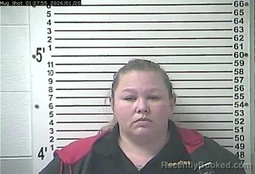 Mugshot of SHAWNTA RENEE WILSON