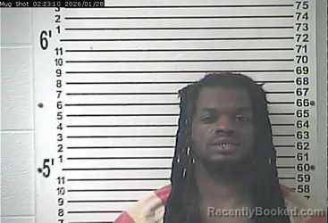 Mugshot of TIAIRRIUS LEE DAVIS