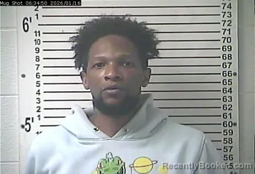 Mugshot of TRUDELLE MARQUISE MEALEY