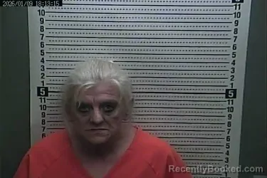 Mugshot of CATHERINE FLOYD HENSLEY