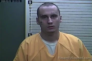 Mugshot of IAN MOUNTS