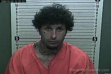 Mugshot of SHAWN VICK