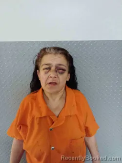 Mugshot of TONYA STINSON