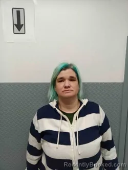 Mugshot of JESSICA BAUM