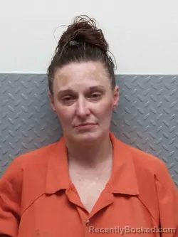 Mugshot of BRANDIE LAWLER