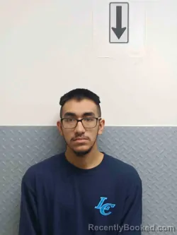 Mugshot of FRANCISCO TORRES
