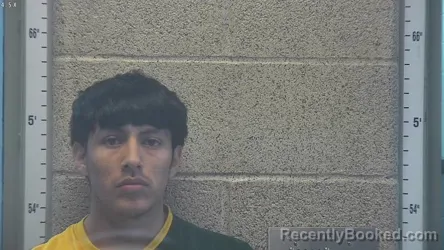 Mugshot of CARLOS ANDRES JUAN
