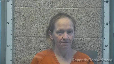 Mugshot of AMBER DAWN WILSON