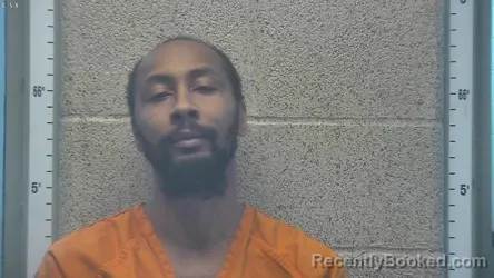 Mugshot of ROBERT T HENIGAN