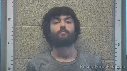 Mugshot of WILLIAM T BRYAN