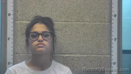 Mugshot of JOCELYN WILSON