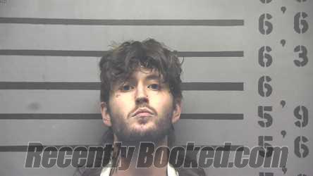 Booking photo from Hopkins County, Kentucky