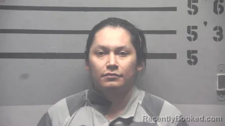 Mugshot of LUIS CECILIO DEZDHA
