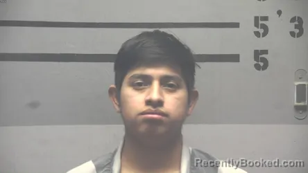 Mugshot of FELIPE DIEGO-FRANCISCO