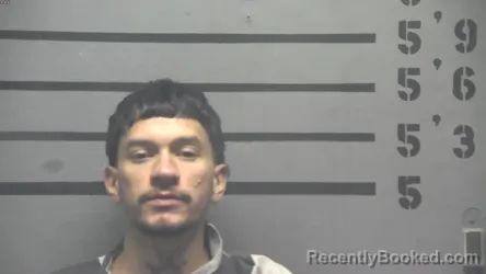 Mugshot of DARWIN FERRERA-MUNGIA