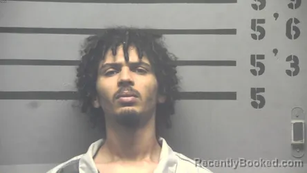 Mugshot of MYCAH DARNELL GRAY