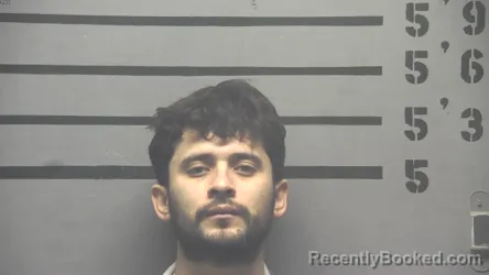 Mugshot of DANILO HERNANDEZ-PADILLA