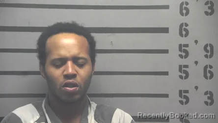Mugshot of RAVON HAMLETT