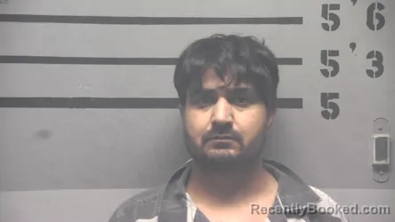 Mugshot of PARMVEER LNU