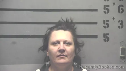 Mugshot of SHERRY LYNN LINDLE