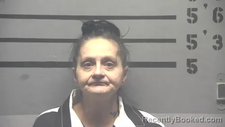 Mugshot of BRANDIE RENETTE MCGOWAN