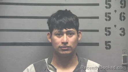 Mugshot of JORGE MARQUEZ-AMAYA