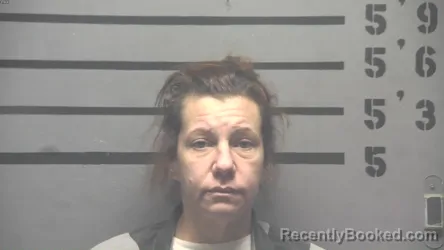 Mugshot of SARA LINDSAY ORANGE