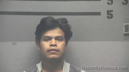 Mugshot of DIEGO US-CASTRO