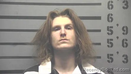 Mugshot of JAYSON JOHNS WILLIAMS