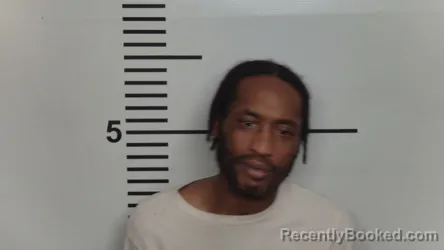 Mugshot of MIQUEAL WELLS