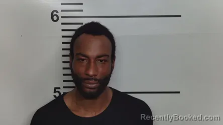 Mugshot of RIMEKO LEWIS