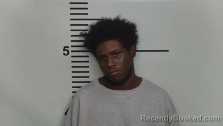 Mugshot of ROBERT JONES