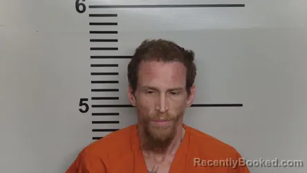 Mugshot of DENNIS J LEE