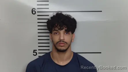 Mugshot of MOHAMED SIDINIA BERROU
