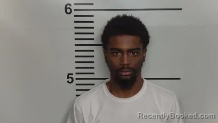 Mugshot of JERRELL R JOHNSON
