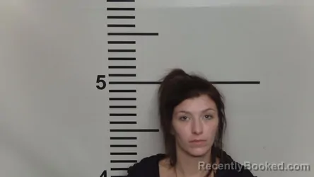 Mugshot of HEAVEN MCGILL