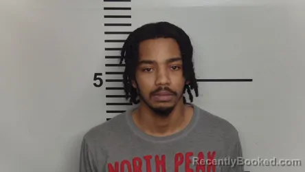 Mugshot of RONALD WALLACE