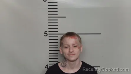 Mugshot of CAYDEN WADE HOYT