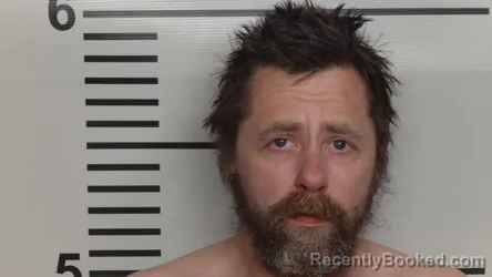 Mugshot of BRANDON L WESTERMANN