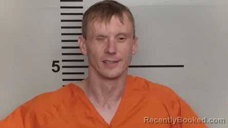 Mugshot of DANIEL LEE