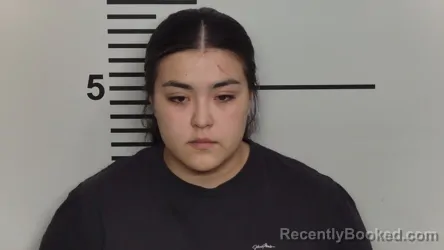 Mugshot of VANESSA ROMERO