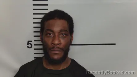 Mugshot of DAMEN RAYMONT LEE