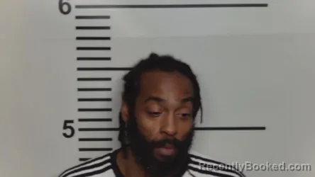 Mugshot of JAMES L MCALISTER