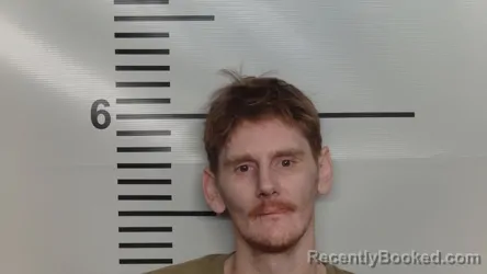 Mugshot of DYLAN R SIMS