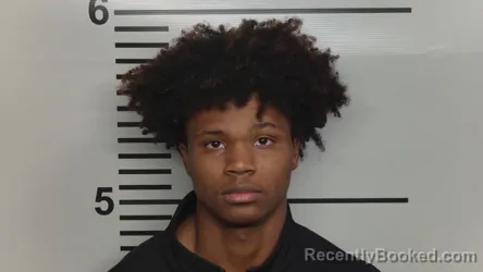 Mugshot of ALFRED RYALS